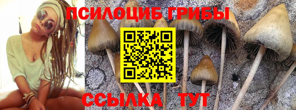 Петропавловск-Камчатский  Псилоцибиновые грибы GOLDEN TEACHER  Вход с VPN  наркошоп  Галлюциногенные грибы ЛСД 